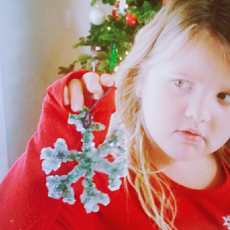 Holiday Craft- Crystal&nbsp;Snowflake